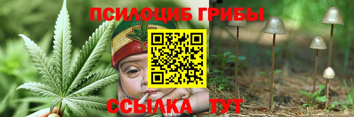 Северобайкальск  Псилоцибиновые грибы Cubensis  купить наркотики сайты  Вход с VPN 